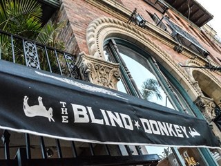 The Blind Donkey