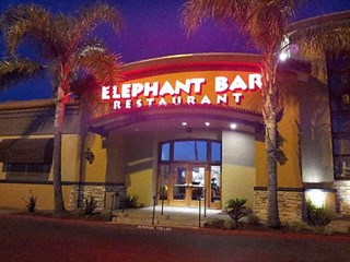 The Elephant Bar