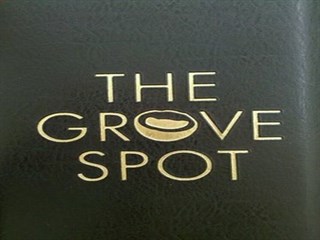 The Grove Spot