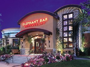 Elephant Bar Restaurant