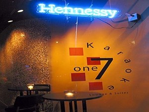 Karaoke One 7