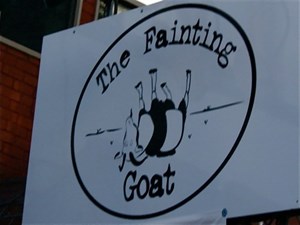 The Fainting Goat