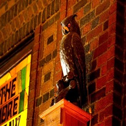 The Owl Bar