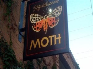 Meddlesome Moth