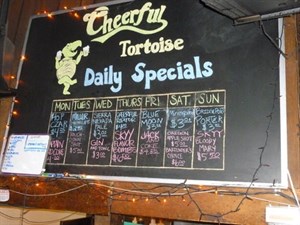 Cheerful Tortoise
