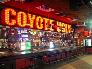 Coyote Ugly