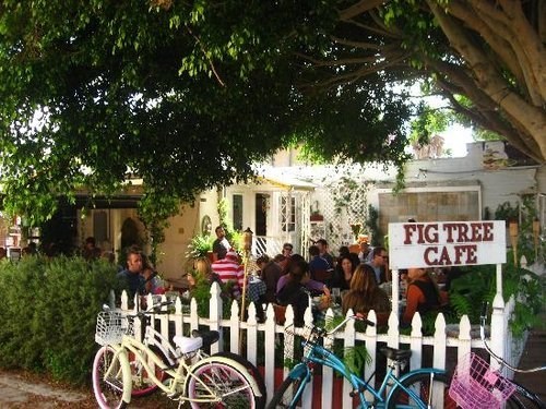 Fig Tree Cafe