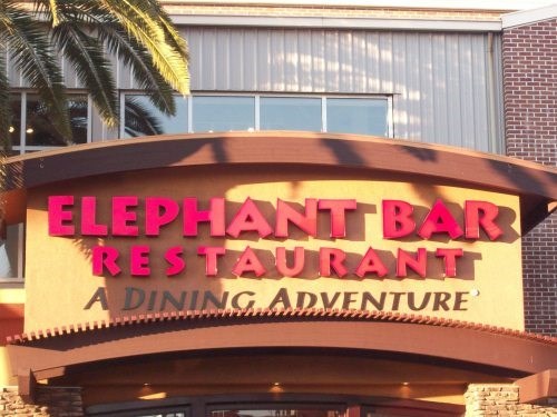 Elephant Bar