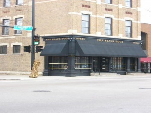 Black Duck Tavern